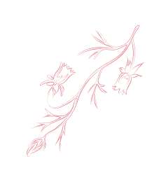 C7娱乐